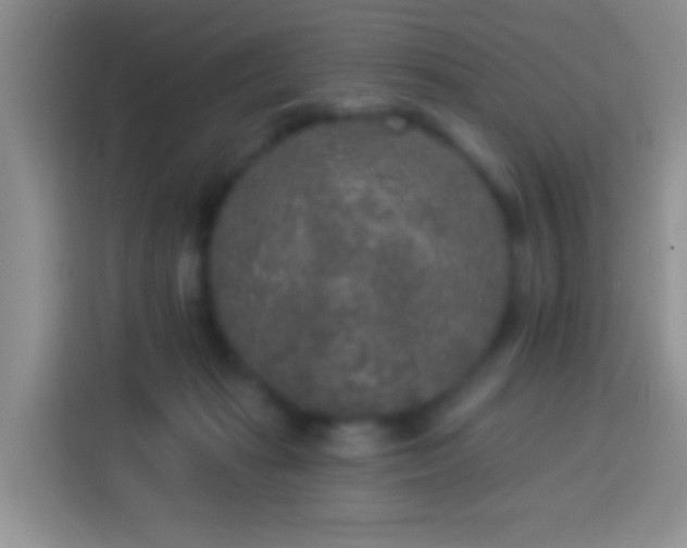 X0000113880269200910011138