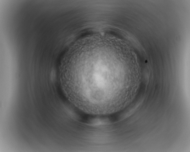 X0000113880270200910011138