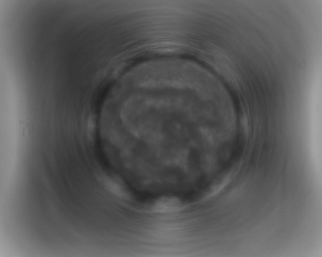 X0000113880271200910011138