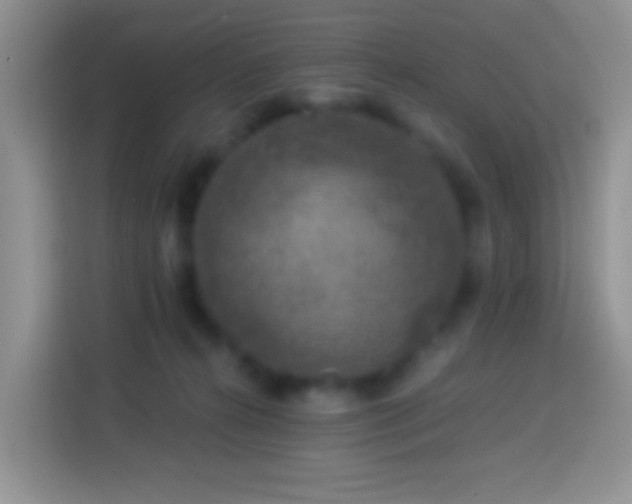 X0000113880272200910011138