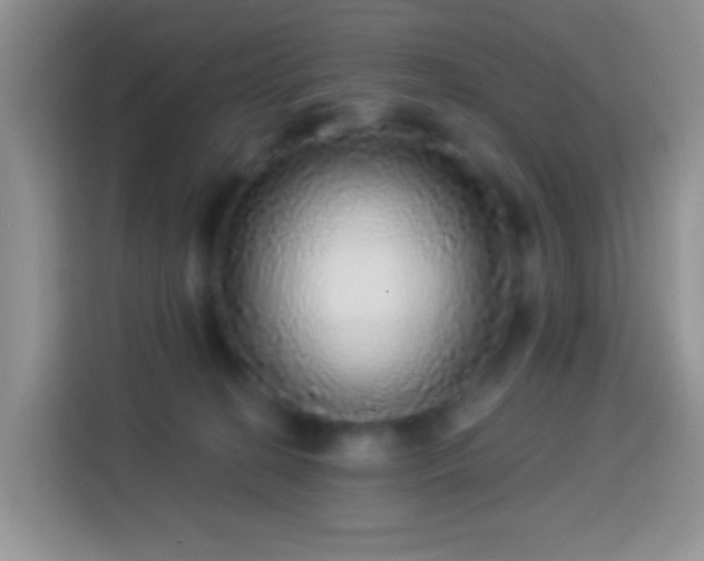 X0000113880274200910011138