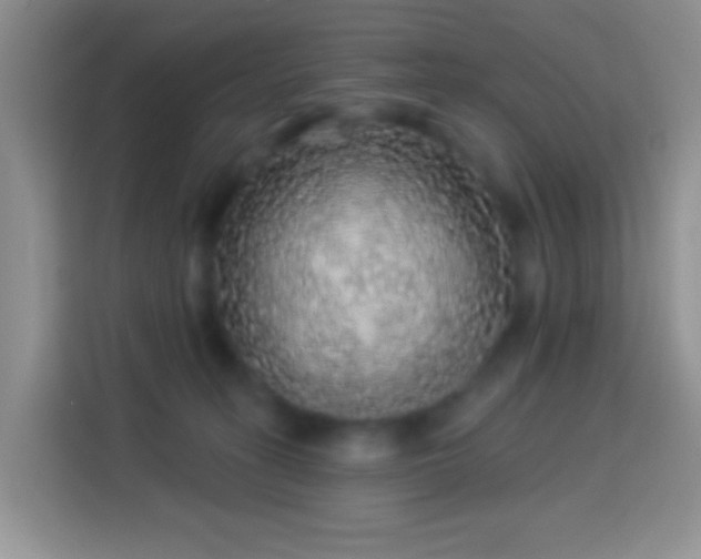 X0000113880275200910011138