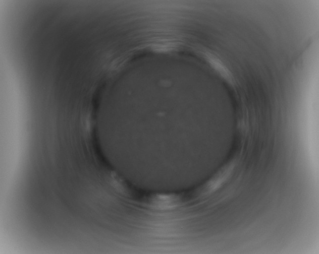 X0000113880277200910011138