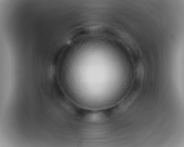 X0000113880278200910011138