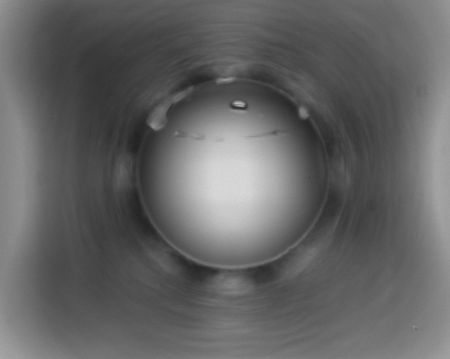 X0000113880280200910011138