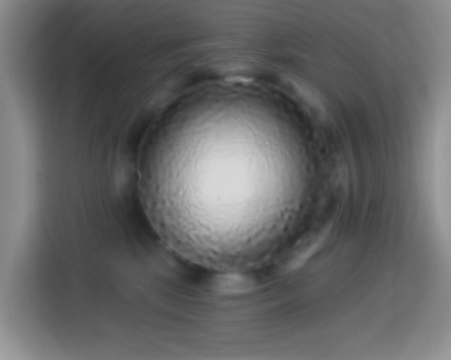 X0000113880281200910011138