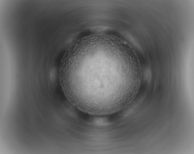 X0000113880283200910011138