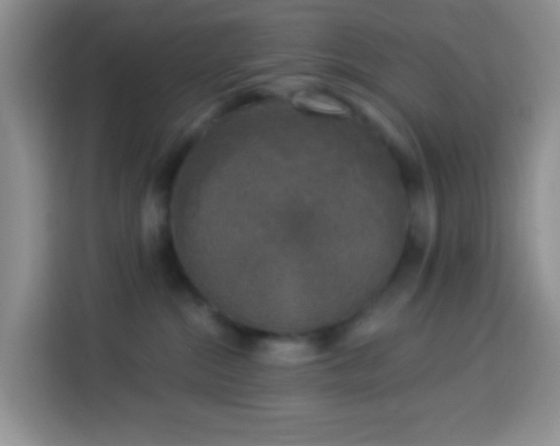 X0000113880284200910011138