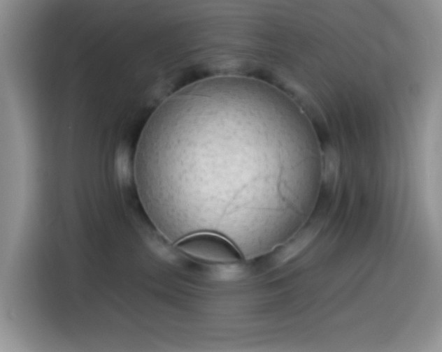 X0000113880287200910011138