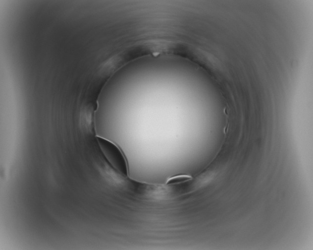 X0000113880288200910011138