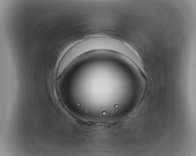 X0000113880289200910011138