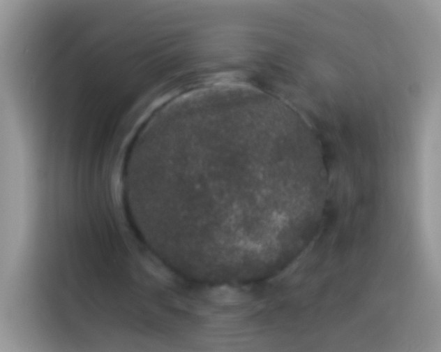 X0000113880290200910011138