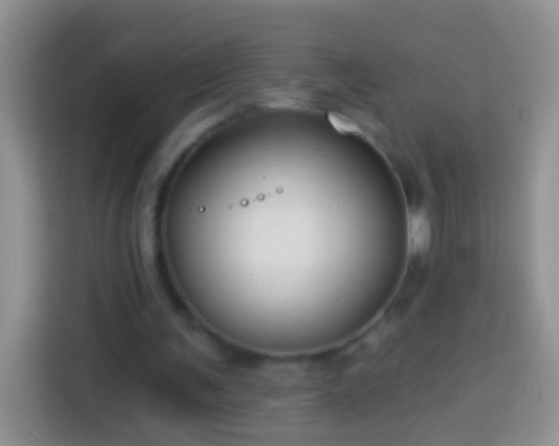 X0000113880291200910011138