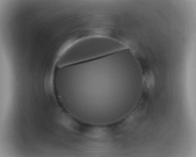 X0000113880292200910011138