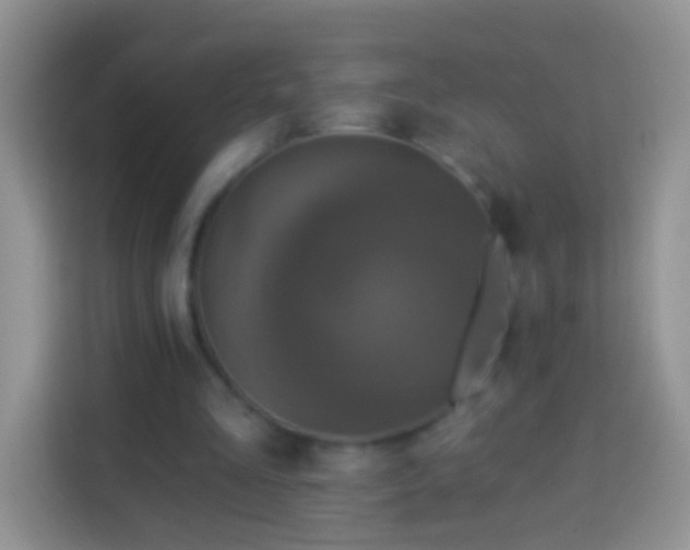 X0000113880293200910011138