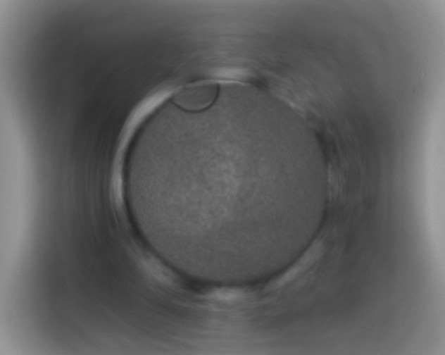 X0000113880294200910011138