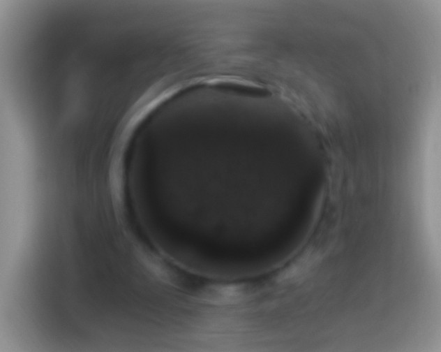 X0000113880295200910011138