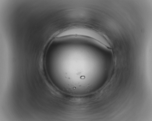 X0000113880297200910011138