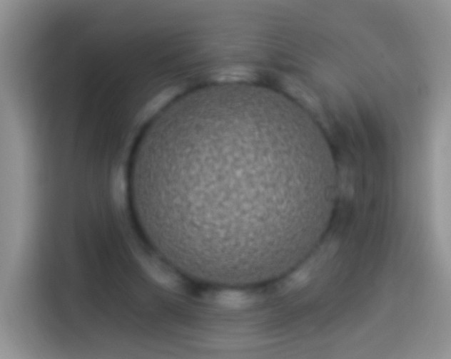 X0000113880298200910011138