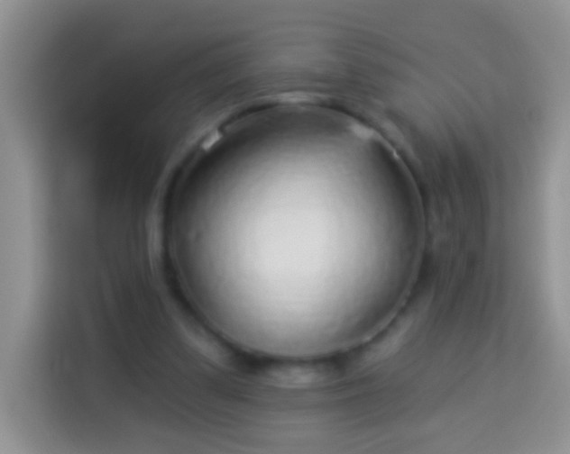 X0000113880299200910011138