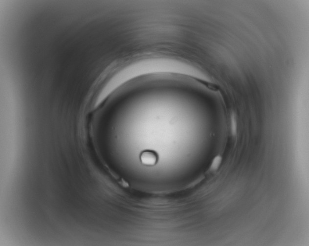 X0000113880300200910011138