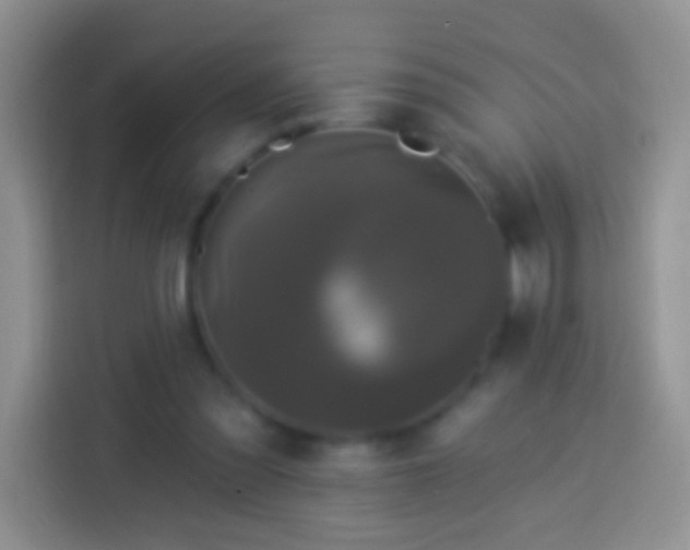 X0000113880301200910011138