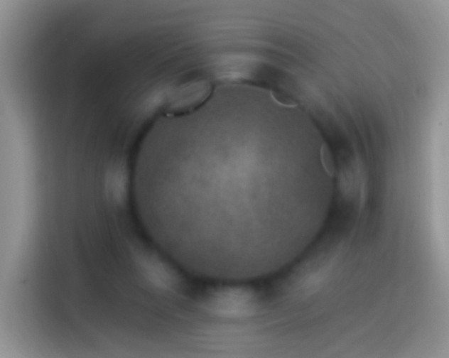 X0000113880304200910011138