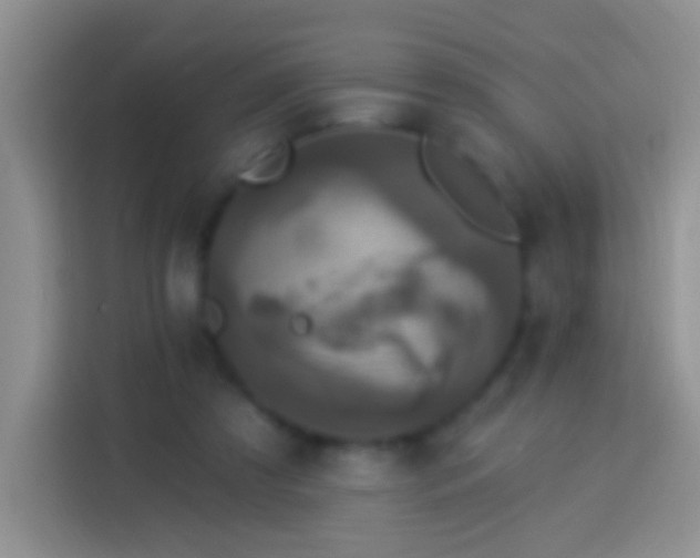 X0000113880305200910011138