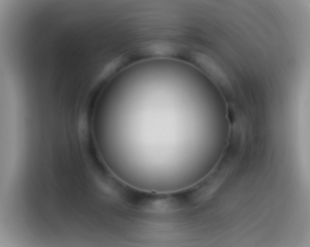 X0000113880306200910011138