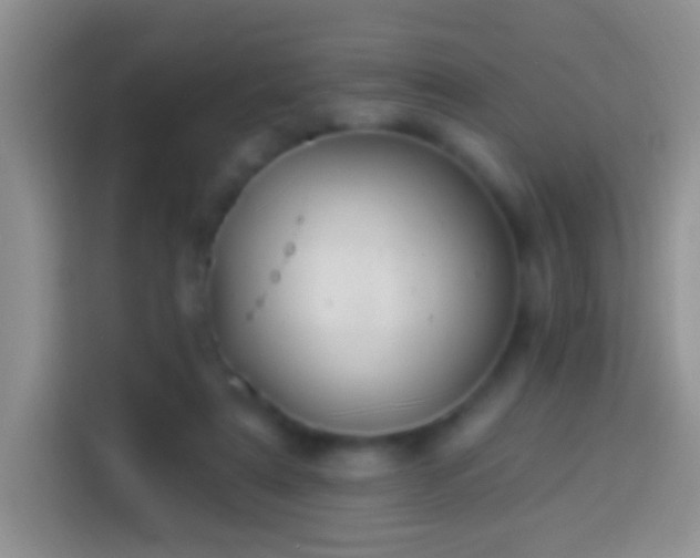 X0000113880307200910011138