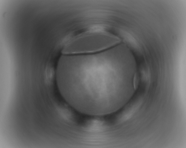 X0000113880308200910011138