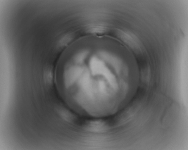 X0000113880309200910011138