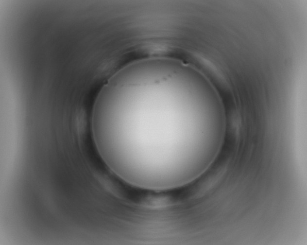 X0000113880311200910011138