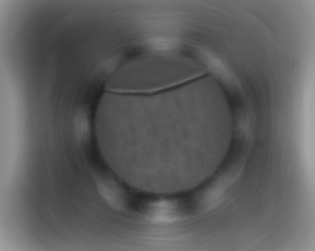 X0000113880312200910011138