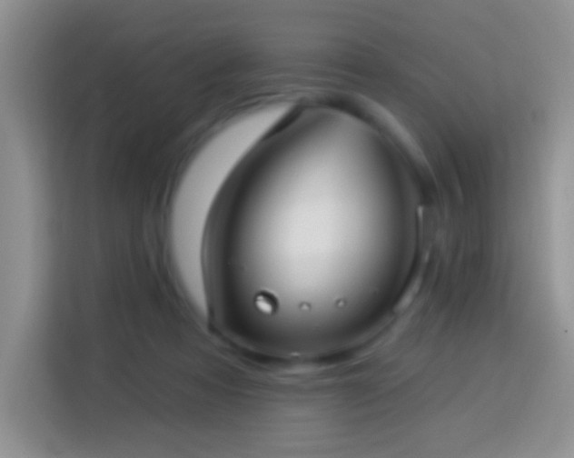 X0000113880313200910011138