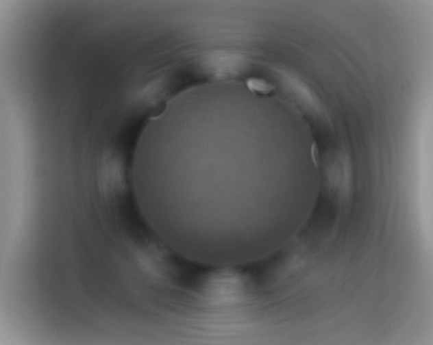 X0000113880316200910011137