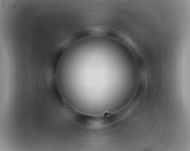 X0000113880318200910011137