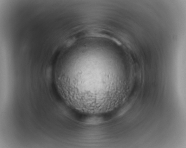 X0000113880319200910011137