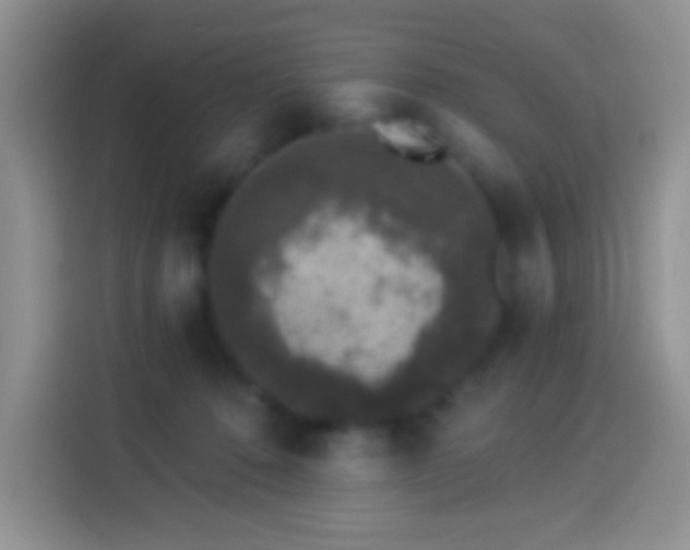 X0000113880320200910011137