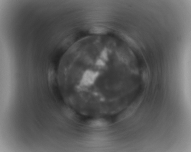 X0000113880322200910011137