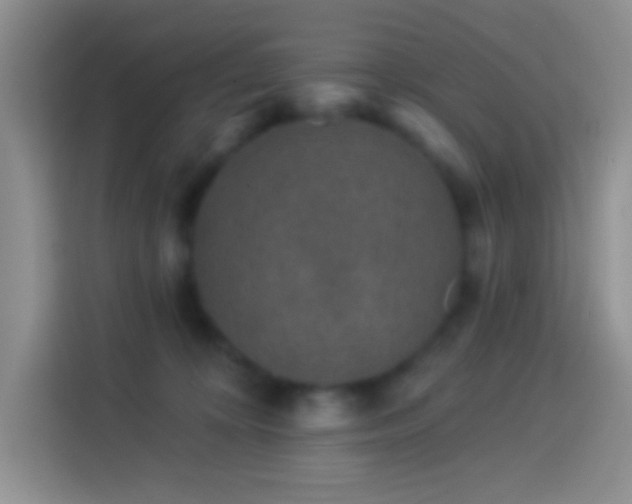 X0000113880324200910011137