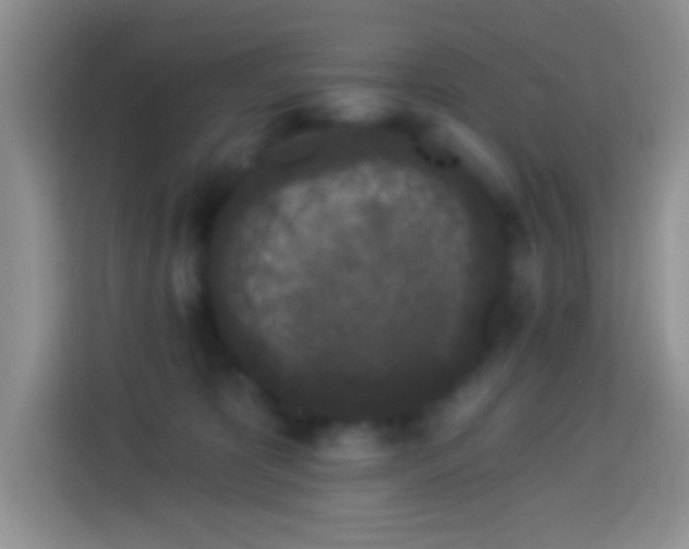 X0000113880325200910011137