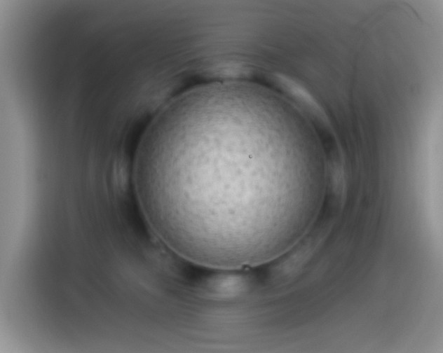 X0000113880326200910011137