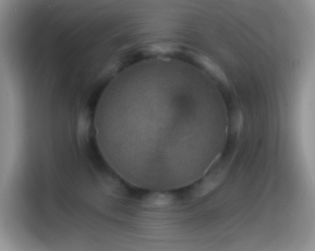 X0000113880328200910011137