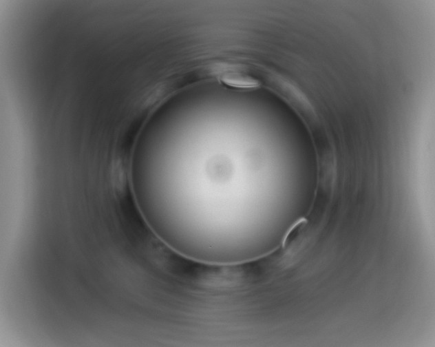 X0000113880329200910011137