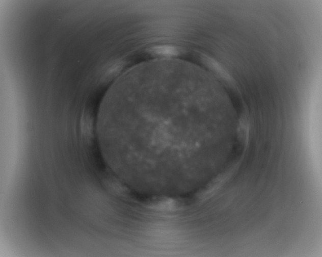 X0000113880330200910011137