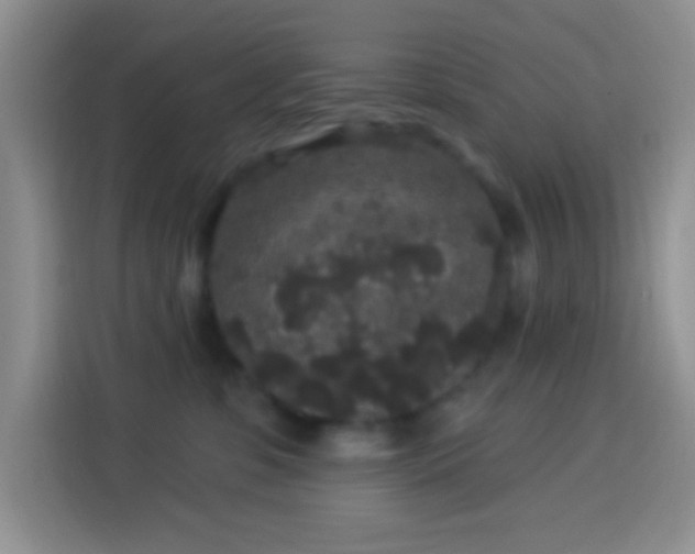 X0000113880331200910011137