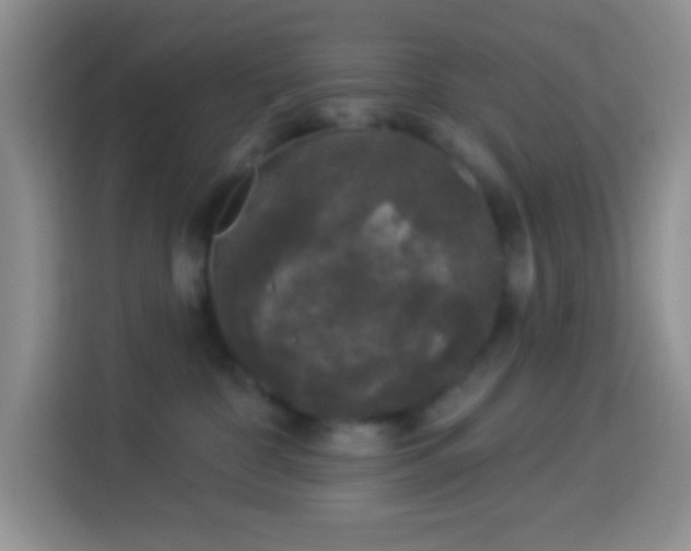 X0000113880332200910011137