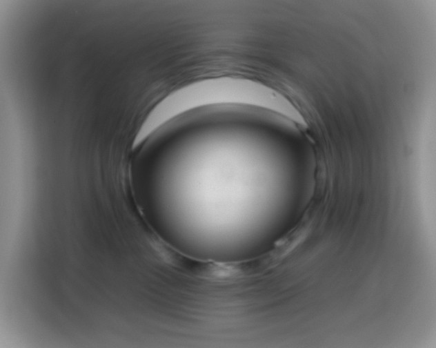 X0000113880333200910011137