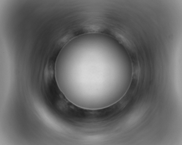 X0000113880334200910011137